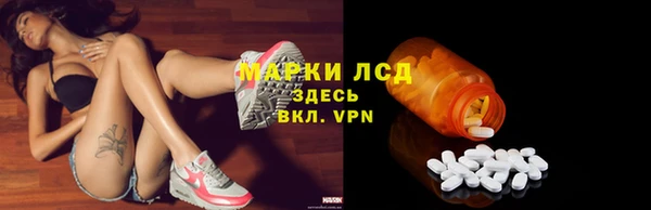 прущие грибы Аркадак