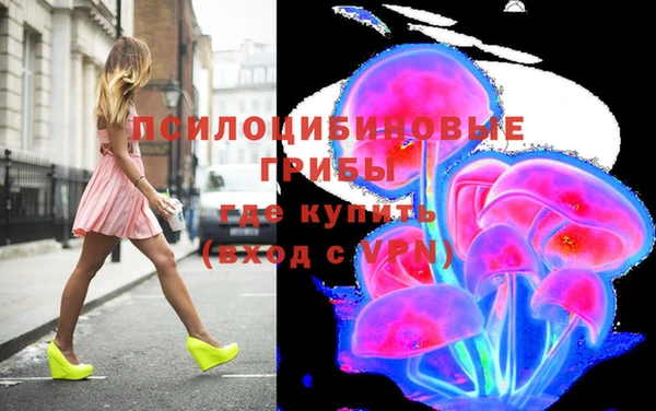 прущие грибы Аркадак
