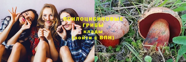 прущие грибы Аркадак