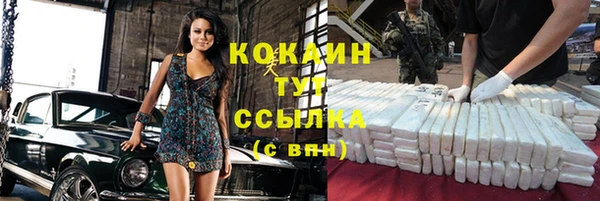 прущие грибы Аркадак