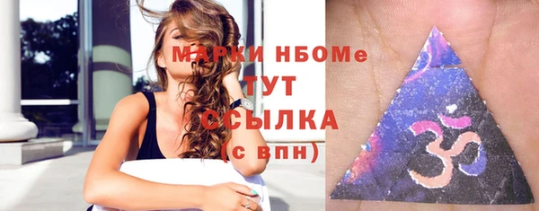 прущие грибы Аркадак