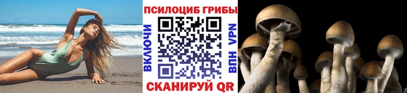 Псилоцибиновые грибы Magic Shrooms  купить наркоту  Оса 