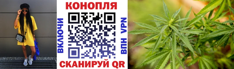 Бошки Шишки LSD WEED  ОМГ ОМГ ТОР  Оса 